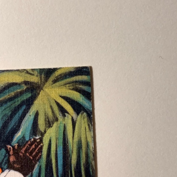 VINTAGE AMERICANA COLLECTIBLE POSTCARD - Picture 14 of 16